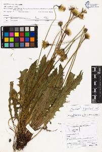 SW_BNB_s3070-03548_IMG-0000000001