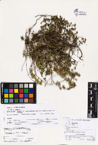 SW_BNB_s3070-03551_IMG-0000000001