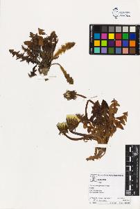 SW_BNB_s3070-03553_IMG-0000000001