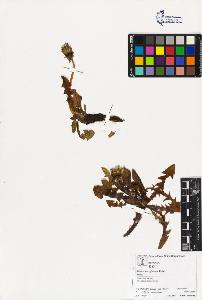 SW_BNB_s3070-03554_IMG-0000000001
