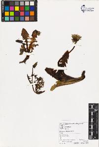 SW_BNB_s3070-03555_IMG-0000000001