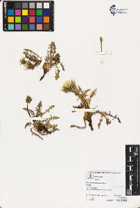SW_BNB_s3070-03557_IMG-0000000001