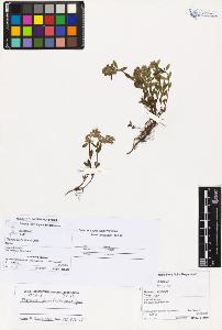 SW_BNB_s3070-03561_IMG-0000000001