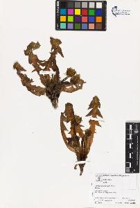SW_BNB_s3070-03562_IMG-0000000001