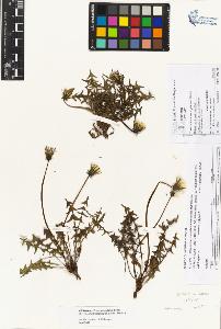 SW_BNB_s3070-03563_IMG-0000000001