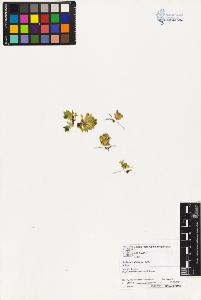 SW_BNB_s3070-03565_IMG-0000000001
