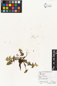 SW_BNB_s3070-03566_IMG-0000000001