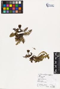 SW_BNB_s3070-03567_IMG-0000000001