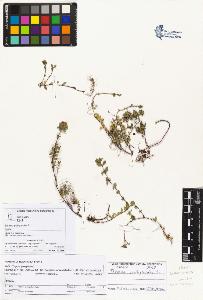 SW_BNB_s3070-03568_IMG-0000000001