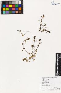 SW_BNB_s3070-03571_IMG-0000000001