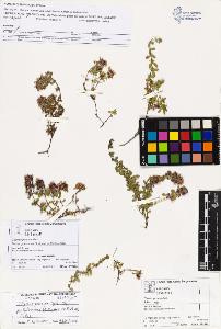 SW_BNB_s3070-03572_IMG-0000000001