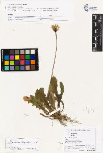 SW_BNB_s3070-03574_IMG-0000000001