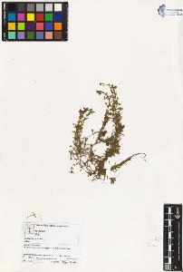 SW_BNB_s3070-03577_IMG-0000000001