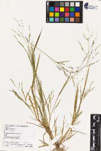 SW_BNB_s3070-03578_IMG-0000000001