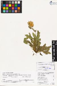 SW_BNB_s3070-03580_IMG-0000000001