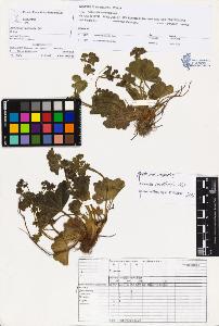 SW_BNB_s3070-03581_IMG-0000000001