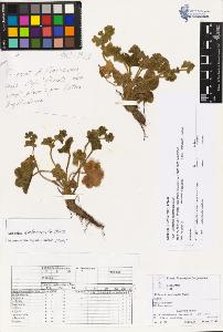 SW_BNB_s3070-03583_IMG-0000000001