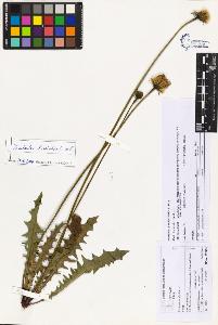 SW_BNB_s3070-03585_IMG-0000000001