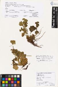 SW_BNB_s3070-03586_IMG-0000000001
