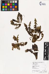 SW_BNB_s3070-03590_IMG-0000000001