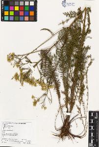 SW_BNB_s3070-03592_IMG-0000000001