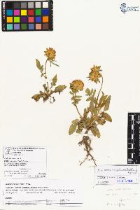 SW_BNB_s3070-03593_IMG-0000000001