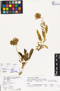 SW_BNB_s3070-03594_IMG-0000000001