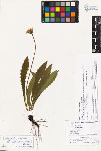 SW_BNB_s3070-03595_IMG-0000000001