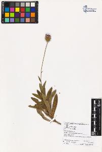 SW_BNB_s3070-03597_IMG-0000000001