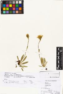SW_BNB_s3070-03598_IMG-0000000001