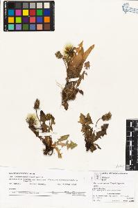 SW_BNB_s3070-03600_IMG-0000000001