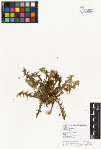 SW_BNB_s3070-03601_IMG-0000000001