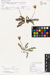 SW_BNB_s3070-03603_IMG-0000000001