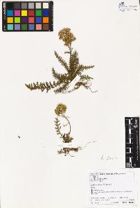 SW_BNB_s3070-03606_IMG-0000000001