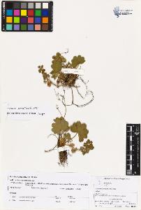 SW_BNB_s3070-03607_IMG-0000000001