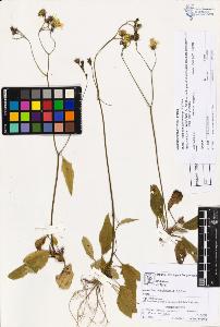 SW_BNB_s3070-03608_IMG-0000000001