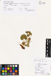 SW_BNB_s3070-03610_IMG-0000000001