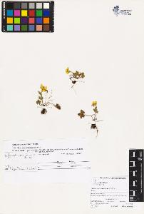 SW_BNB_s3070-03611_IMG-0000000001