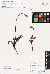 SW_BNB_s3070-03614_IMG-0000000001