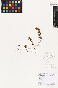 SW_BNB_s3070-03616_IMG-0000000001