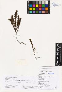 SW_BNB_s3070-03617_IMG-0000000001