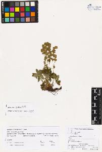 SW_BNB_s3070-03618_IMG-0000000001