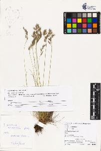 SW_BNB_s3070-03620_IMG-0000000001