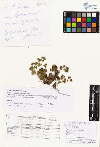 SW_BNB_s3070-03621_IMG-0000000001