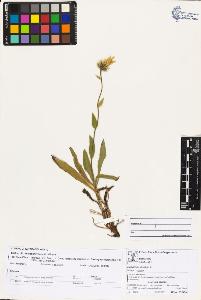 SW_BNB_s3070-03622_IMG-0000000001