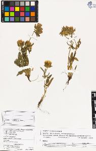 SW_BNB_s3070-03625_IMG-0000000001