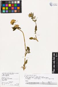 SW_BNB_s3070-03628_IMG-0000000001