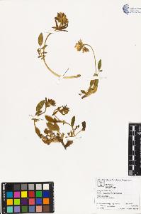 SW_BNB_s3070-03629_IMG-0000000001