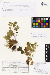 SW_BNB_s3070-03631_IMG-0000000001
