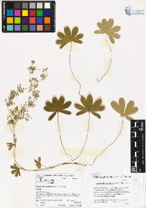 SW_BNB_s3070-03633_IMG-0000000001